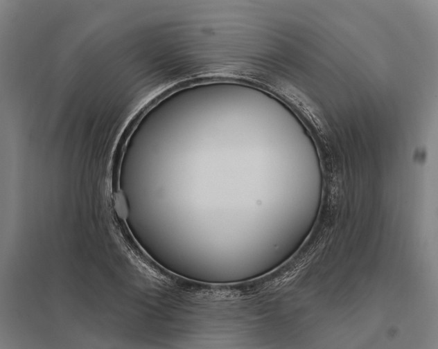 X0000097850884200803281246