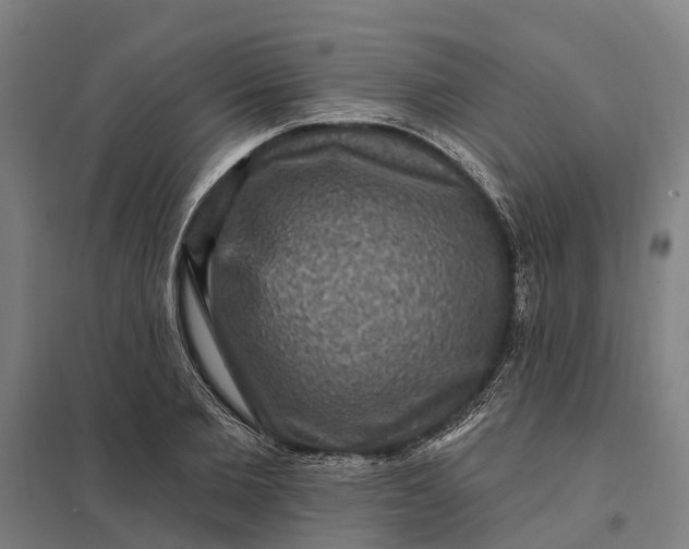 X0000097850885200803281246