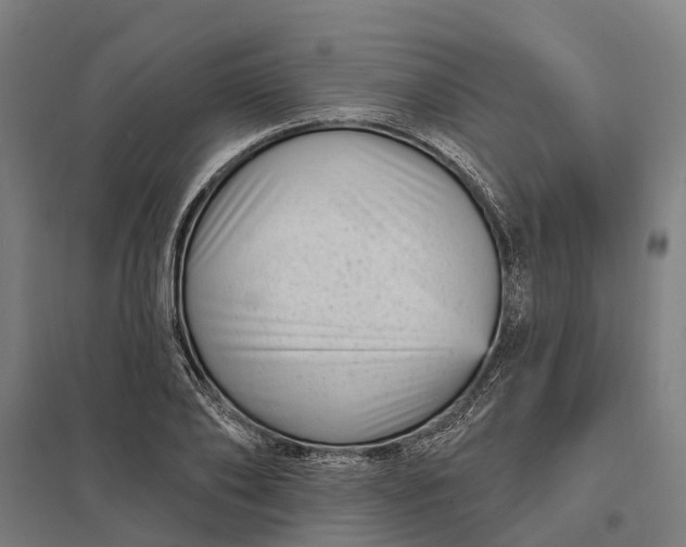 X0000097850886200803281246