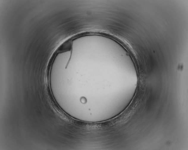 X0000097850887200803281246