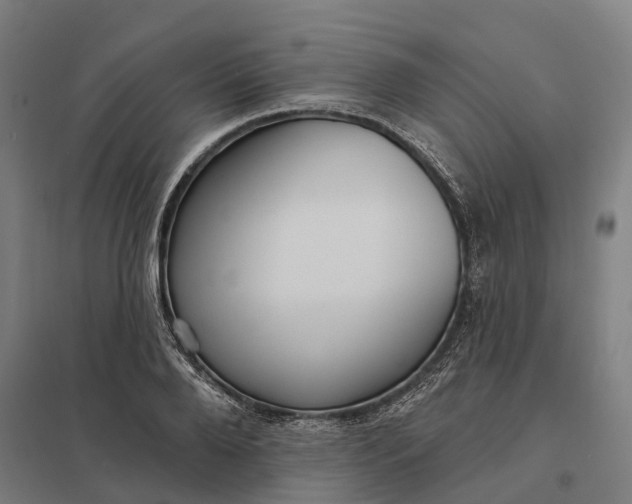 X0000097850888200803281246