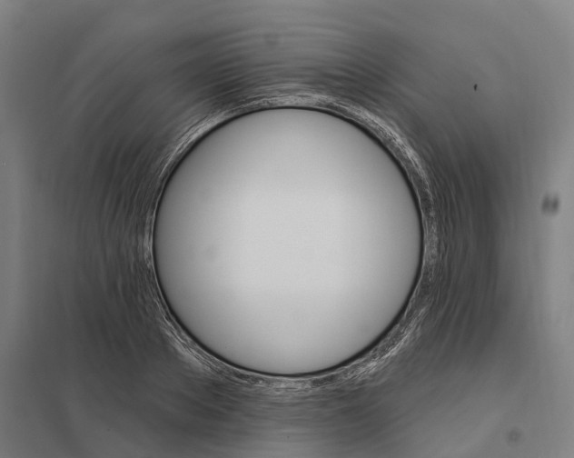 X0000097850889200803281246