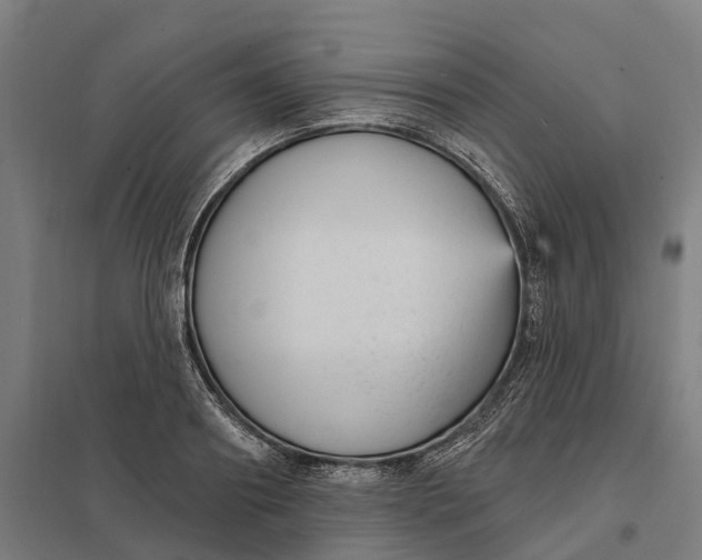 X0000097850890200803281246