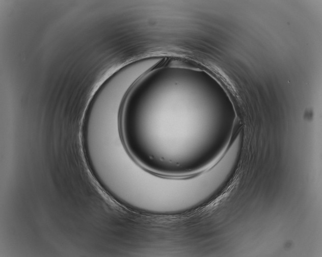 X0000097850893200803281246