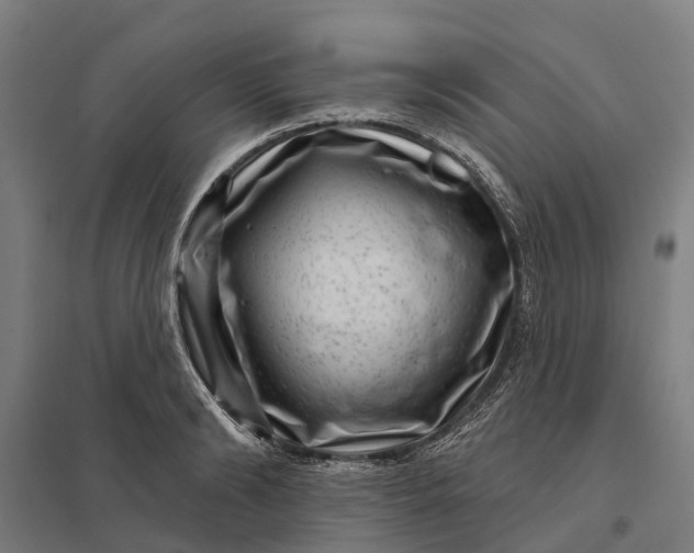 X0000097850894200803281246