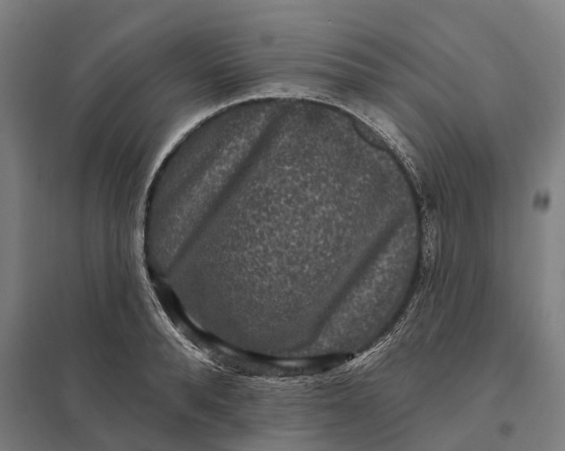 X0000097850896200803281246