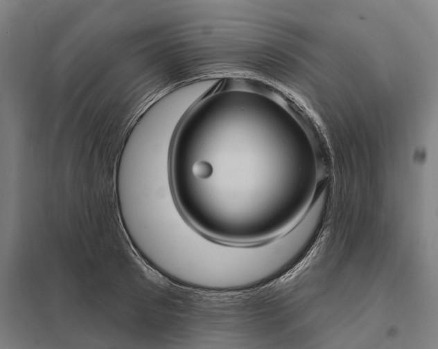 X0000097850897200803281246