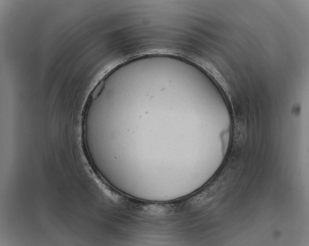 X0000097850898200803281246