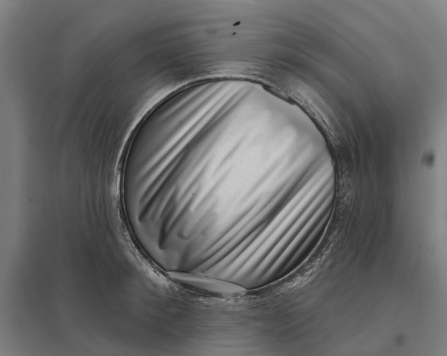 X0000097850900200803281245