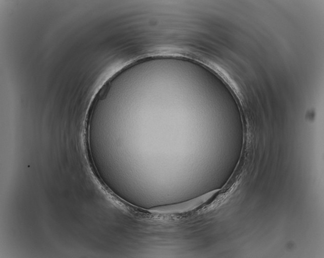 X0000097850901200803281245