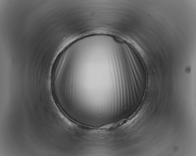 X0000097850902200803281245