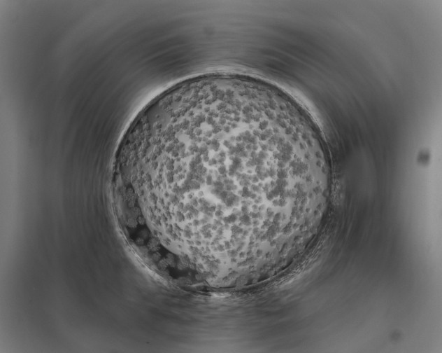 X0000097850903200803281245