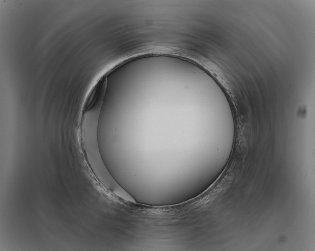 X0000097850904200803281245