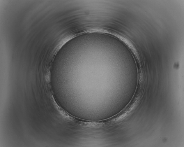 X0000097850905200803281245