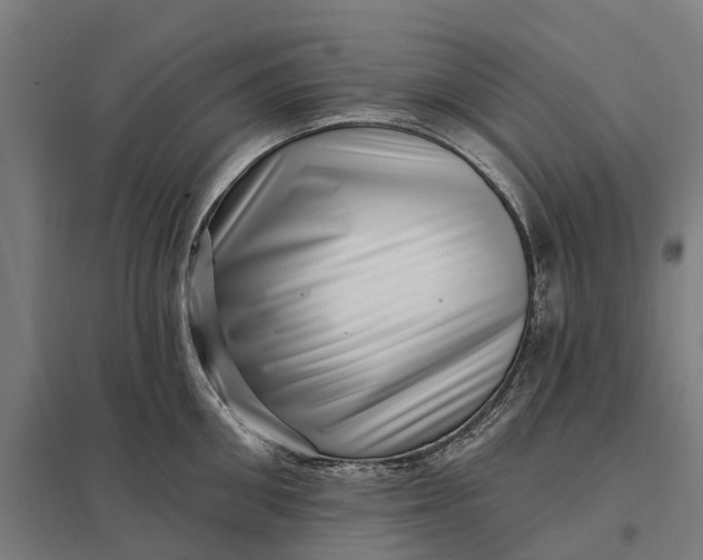 X0000097850906200803281245