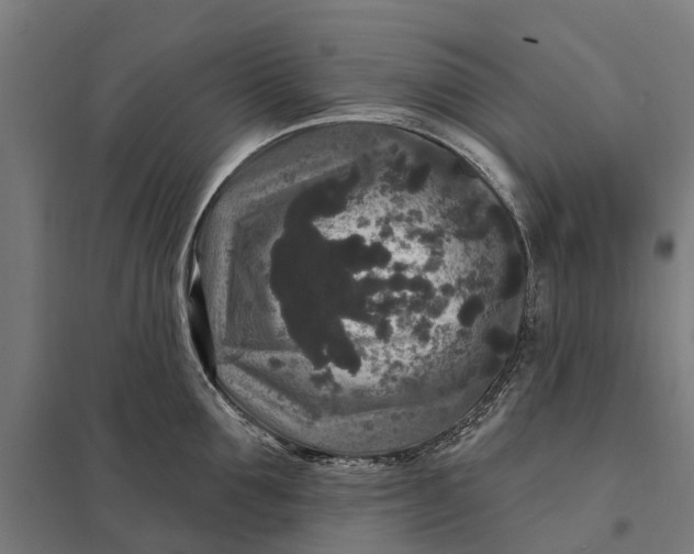 X0000097850907200803281245