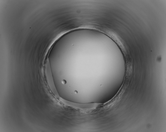 X0000097850908200803281245