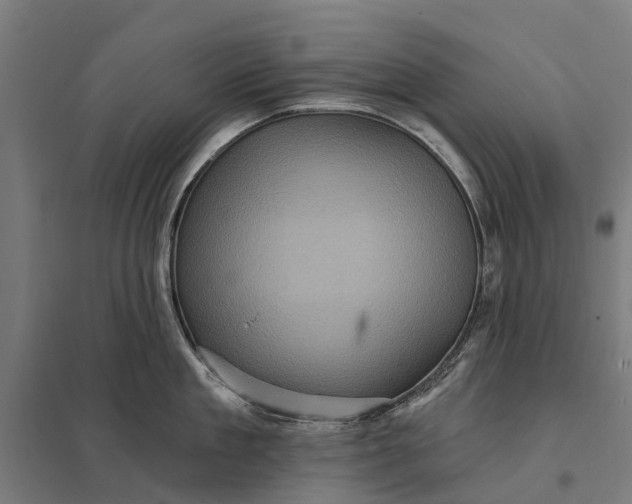 X0000097850909200803281245