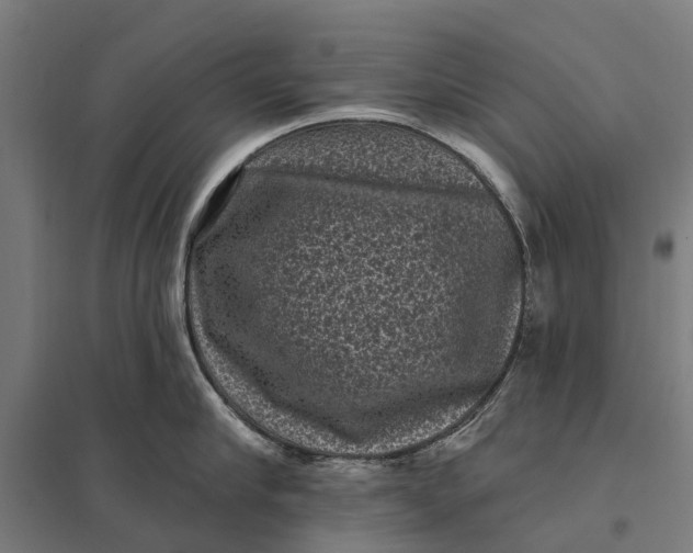 X0000097850910200803281245