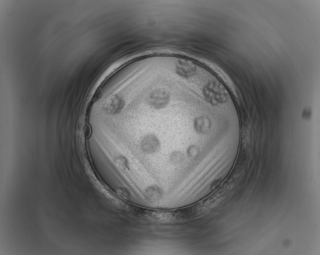 X0000097850911200803281245