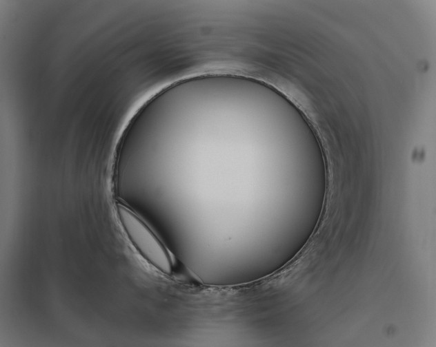 X0000097850912200803281245