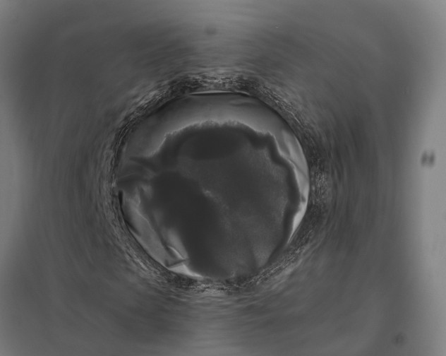 X0000097850913200803281244