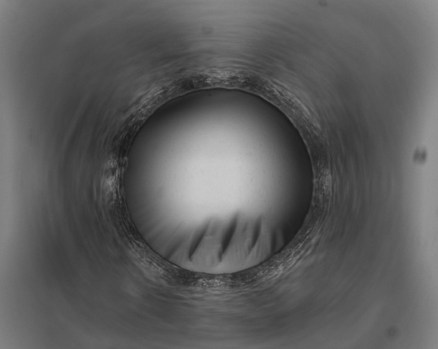 X0000097850914200803281244