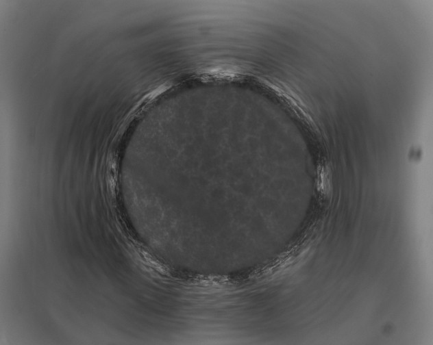 X0000097850915200803281244