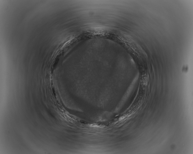 X0000097850916200803281245