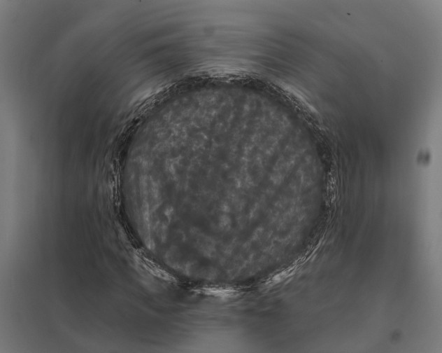 X0000097850917200803281245