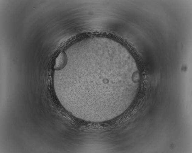 X0000097850918200803281245