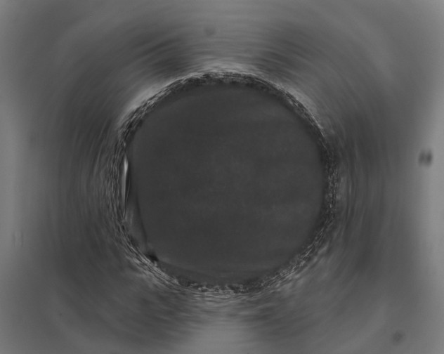 X0000097850919200803281245