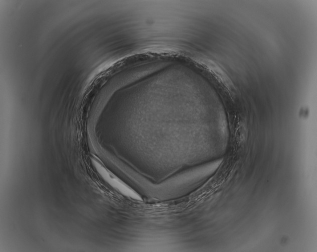 X0000097850920200803281245