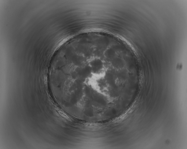 X0000097850921200803281245