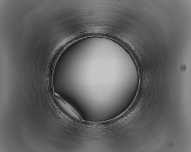 X0000097850922200803281245