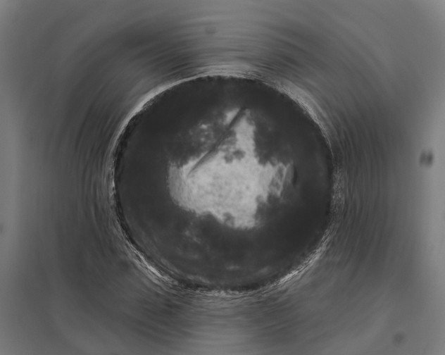 X0000097850923200803281245