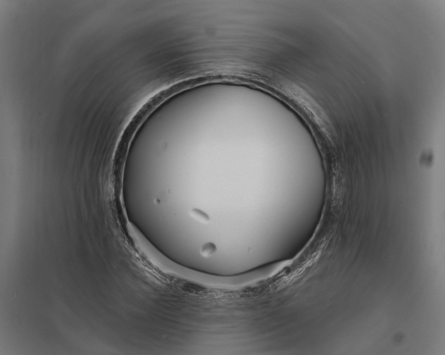 X0000097850924200803281245