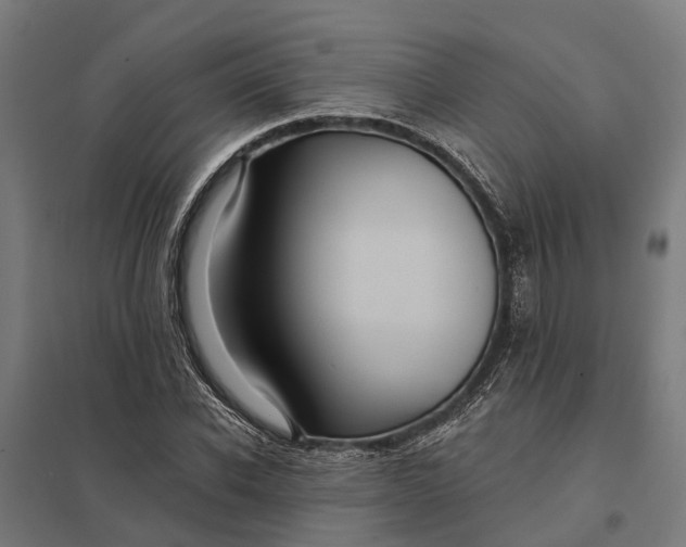 X0000097850926200803281245