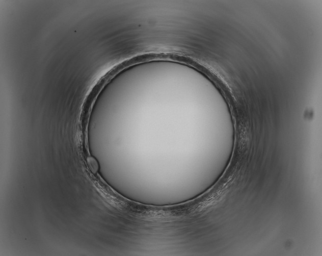 X0000097850927200803281245