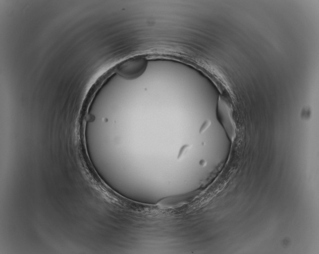 X0000097850928200803281245