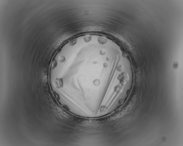 X0000097850929200803281245