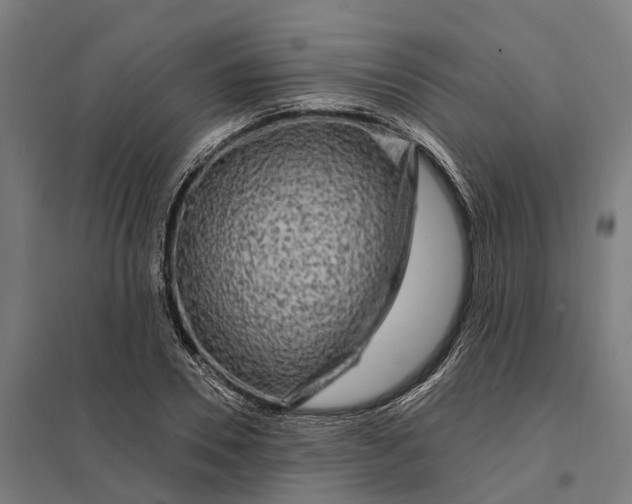 X0000097850930200803281245