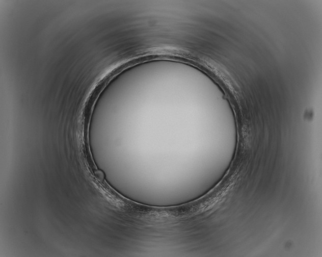 X0000097850931200803281245