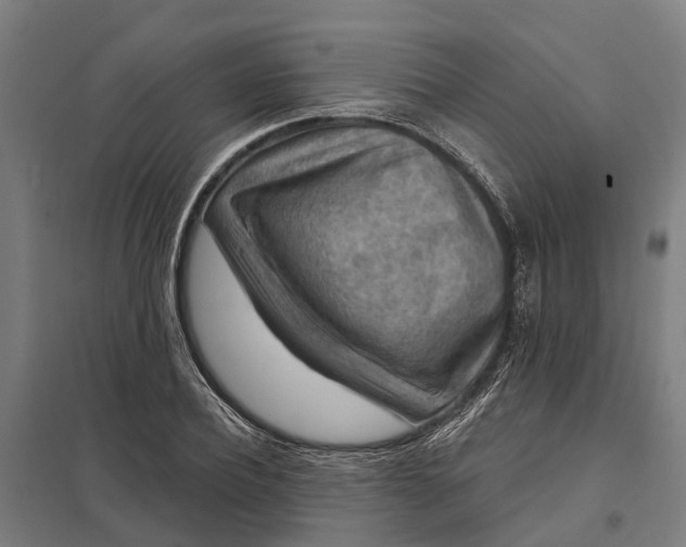 X0000097850932200803281245