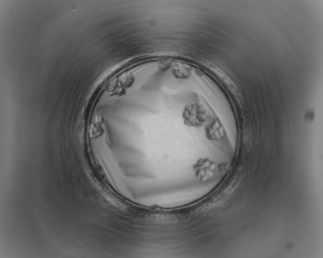 X0000097850933200803281245