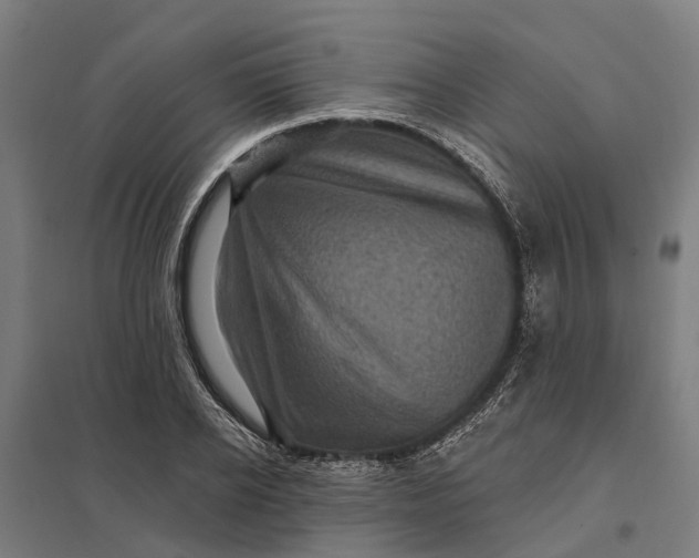 X0000097850934200803281245