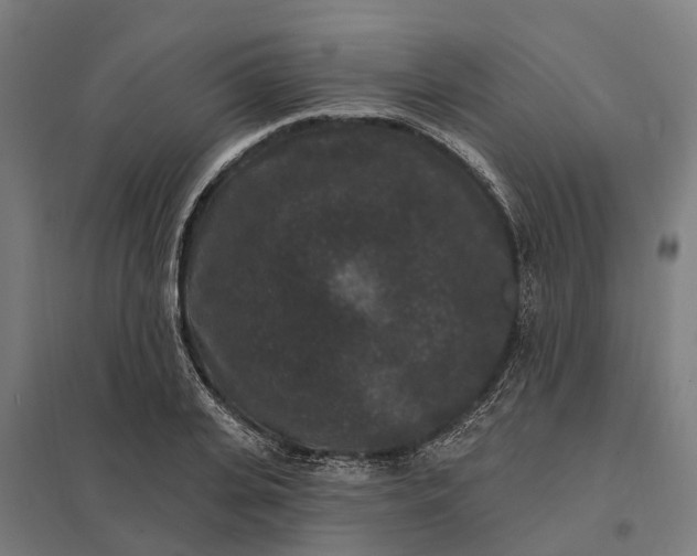 X0000097850935200803281245