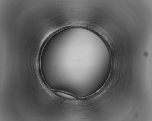 X0000097850936200803281245