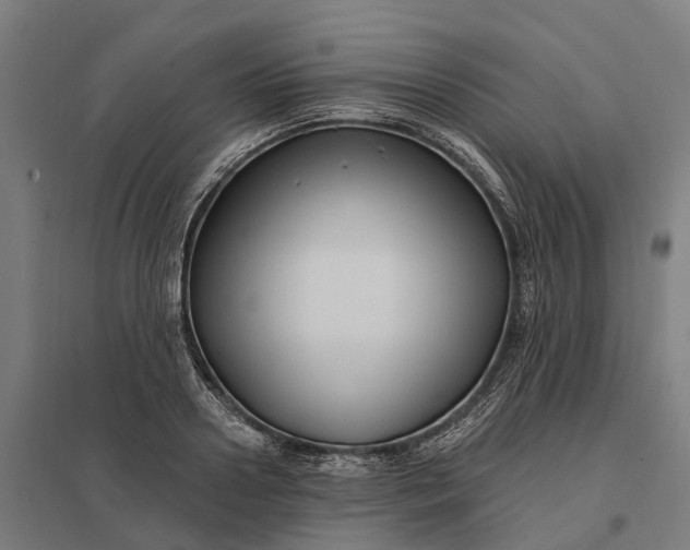 X0000097850938200803281245