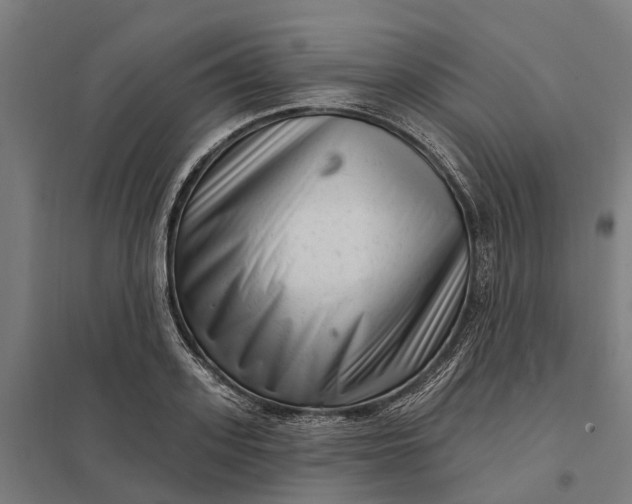 X0000097850939200803281245